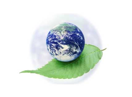 environment Consulting Engineers